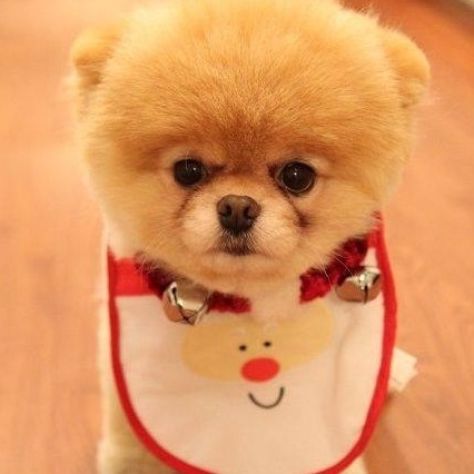 fb.com/806285982257013