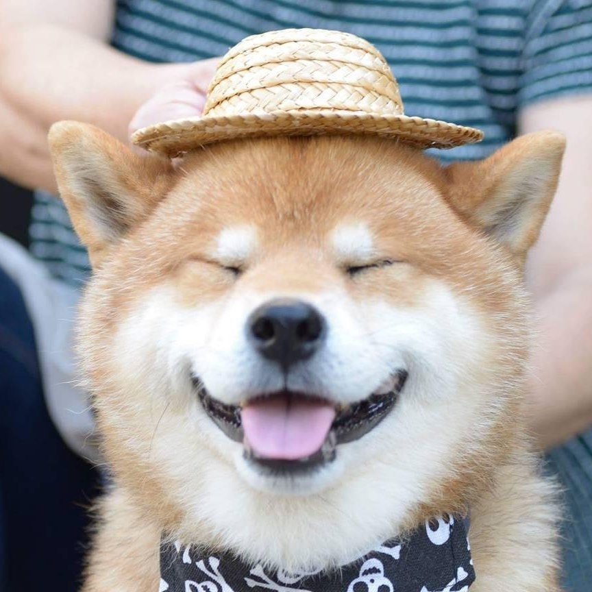 fb.com/groups/762504215167900